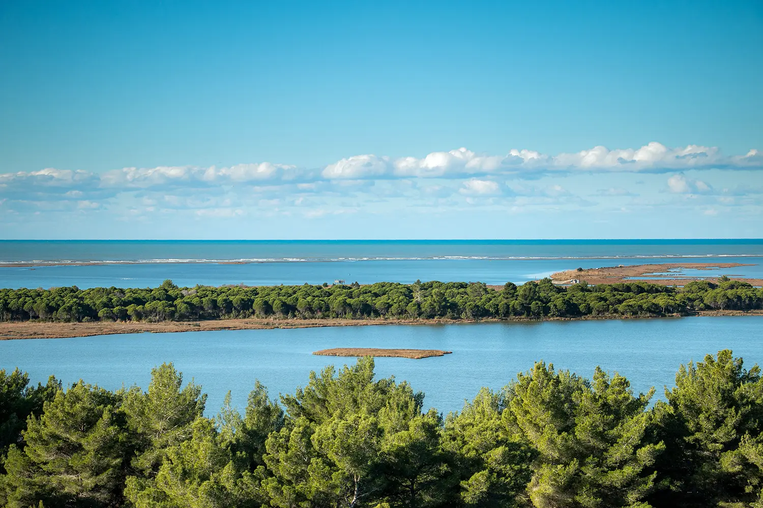 Divjaka - Karavasta lagoon located in Albania