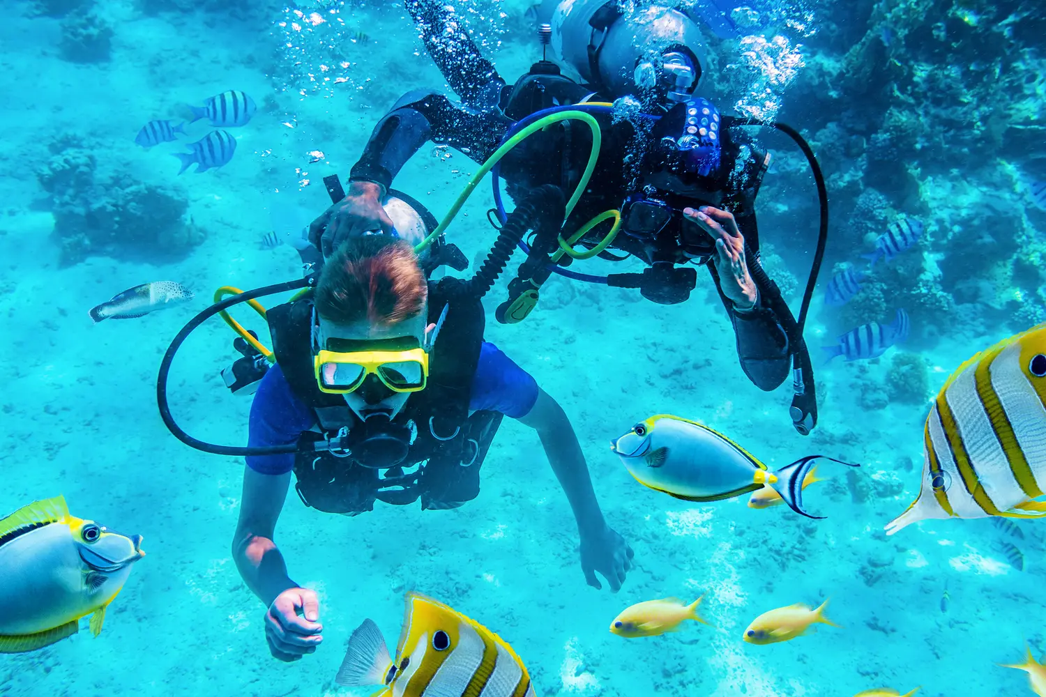 Divers training underwater in Koh Tao, Thailand