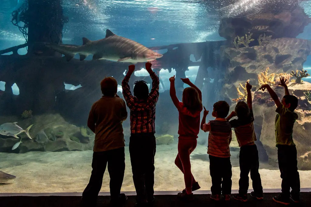 Greater Cleveland Aquarium