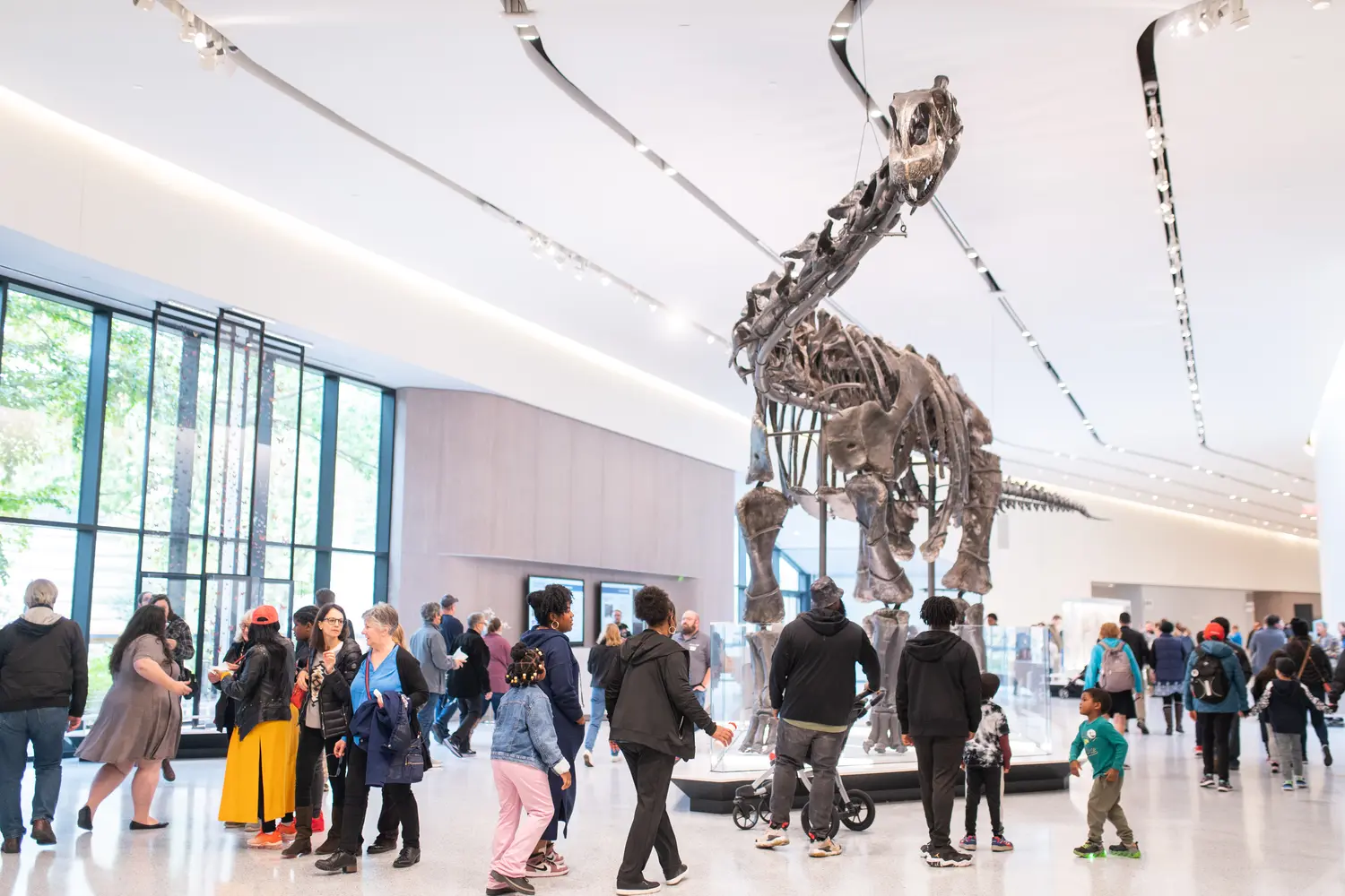 The visitor hall of the Cleveland Museum of Natural History