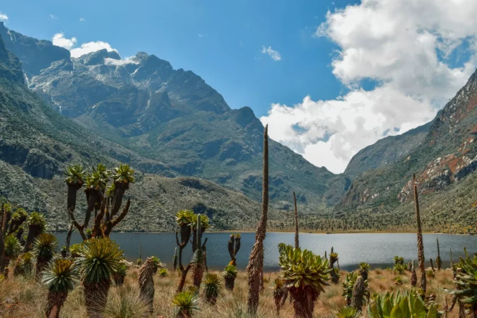 Lake at Rwenzori Mountains National Park in Uganda