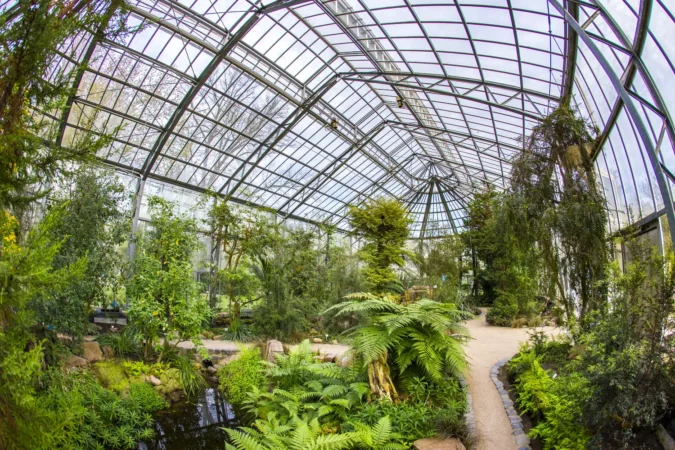 Beautiful tropical exhibition in Palmengarten in Frankfurt, Germany