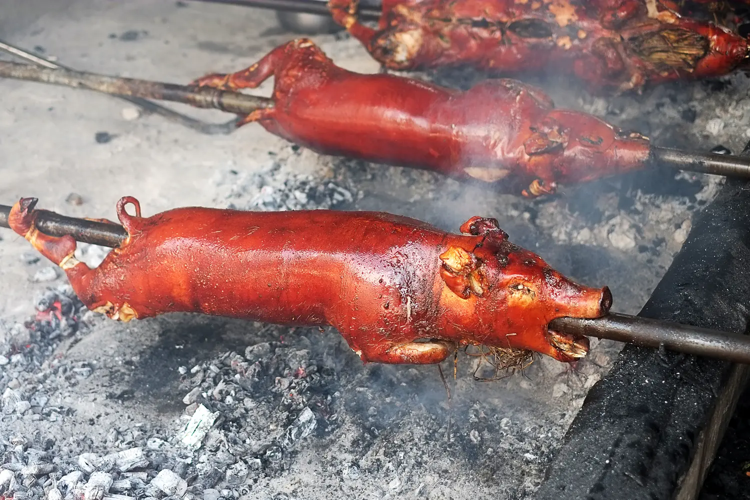 Crispy lechon being roasted in burning charcoal pit. It is a pork dish prepared during festivals in several regions most specifically Spain and its former colonies like Philippines and Puerto Rico.