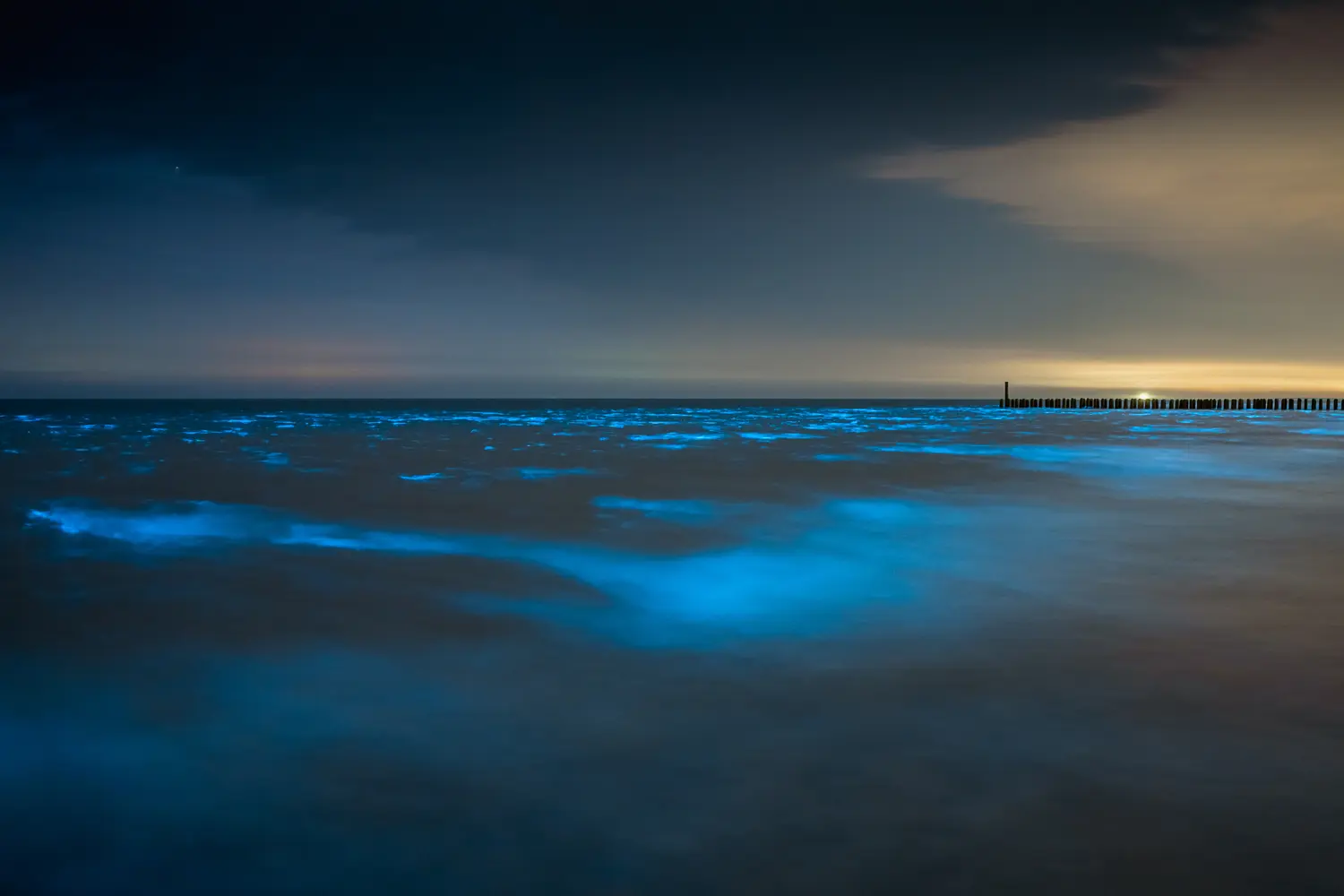 The beautiful view of the glowing sea at night. Domburg, Zeeland, the Netherlands.
