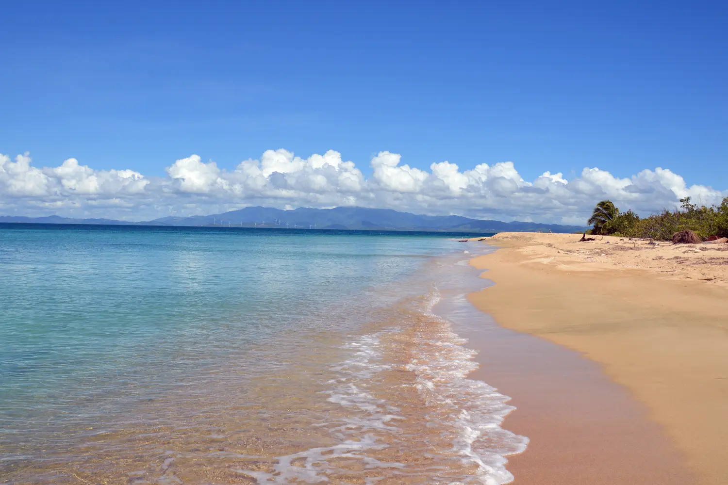Beach on Vieques Island in Puerto Rico