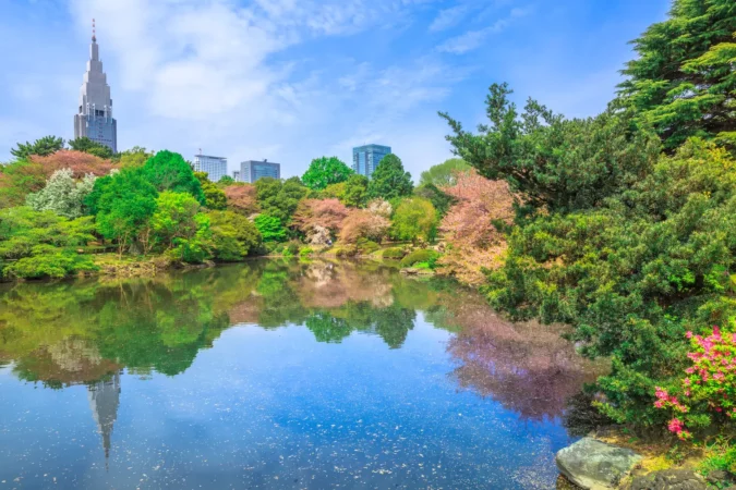 Shinjuku Gyoen National Garden in Tokyo, Japan