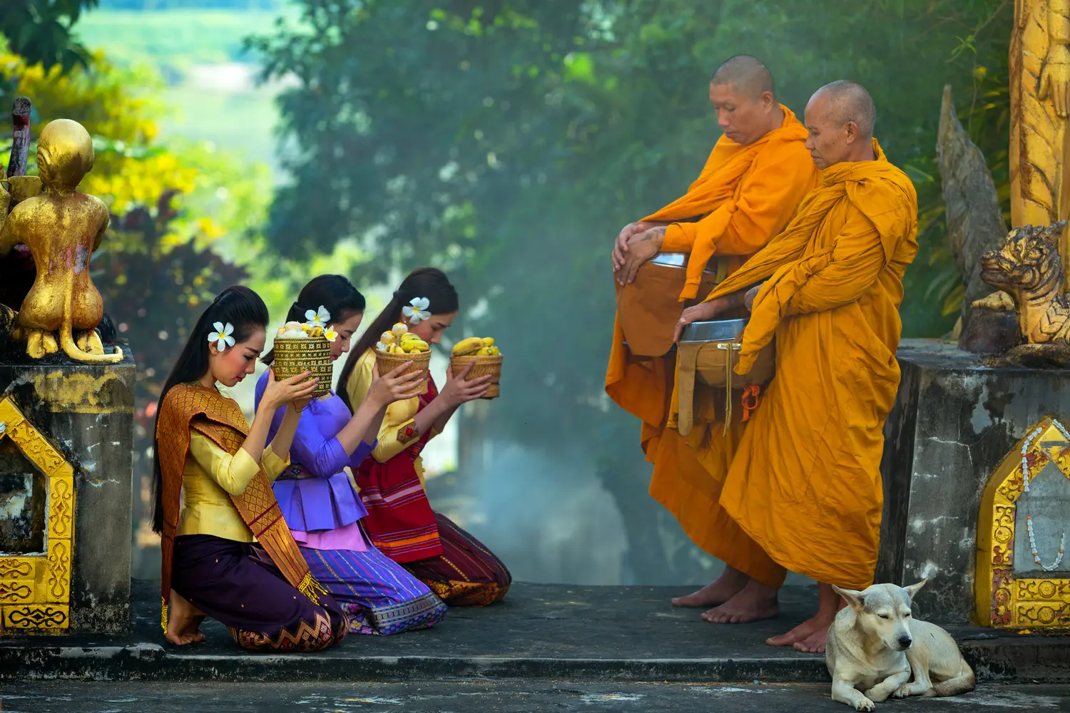 Thai women giving offerings to buddhist monks in Thailand