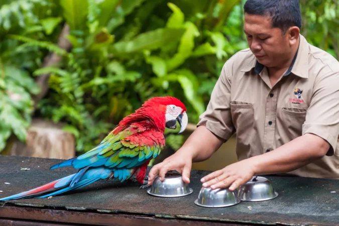 KL Bird Park in Kuala Lumpur, Malaysia
