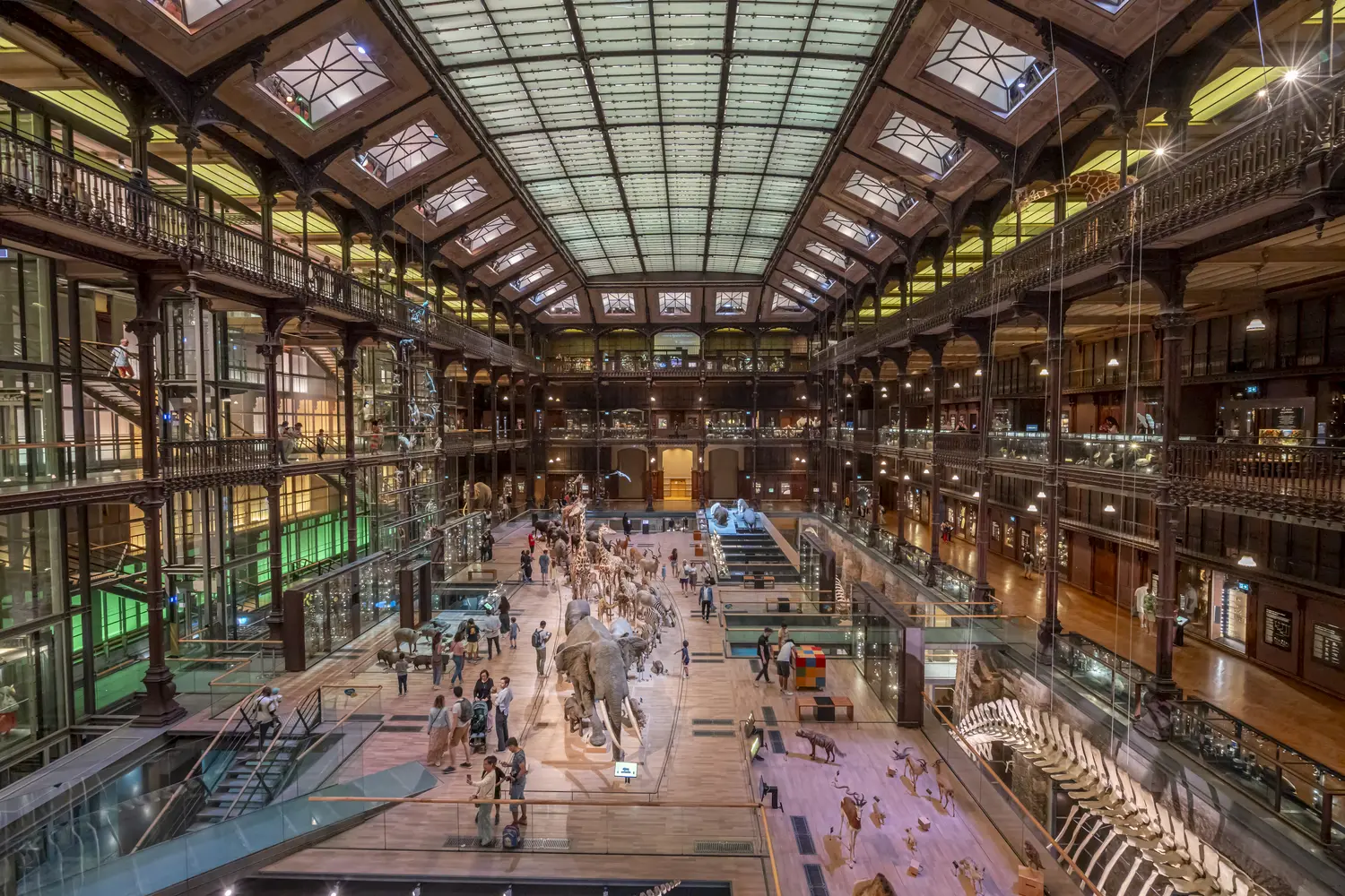 The Great Evolution Gallery of Paris.
