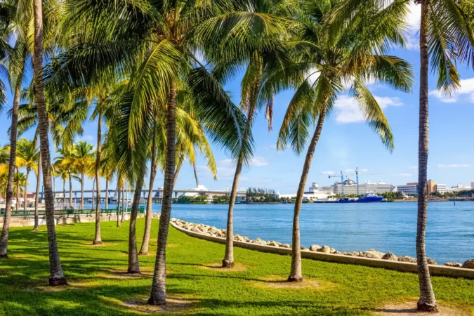 View from Bayfront Park in Miami, Florida