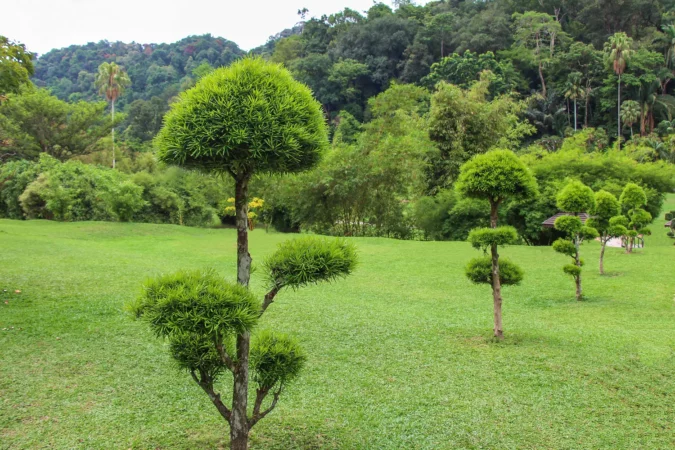Penang Botanic Gardens