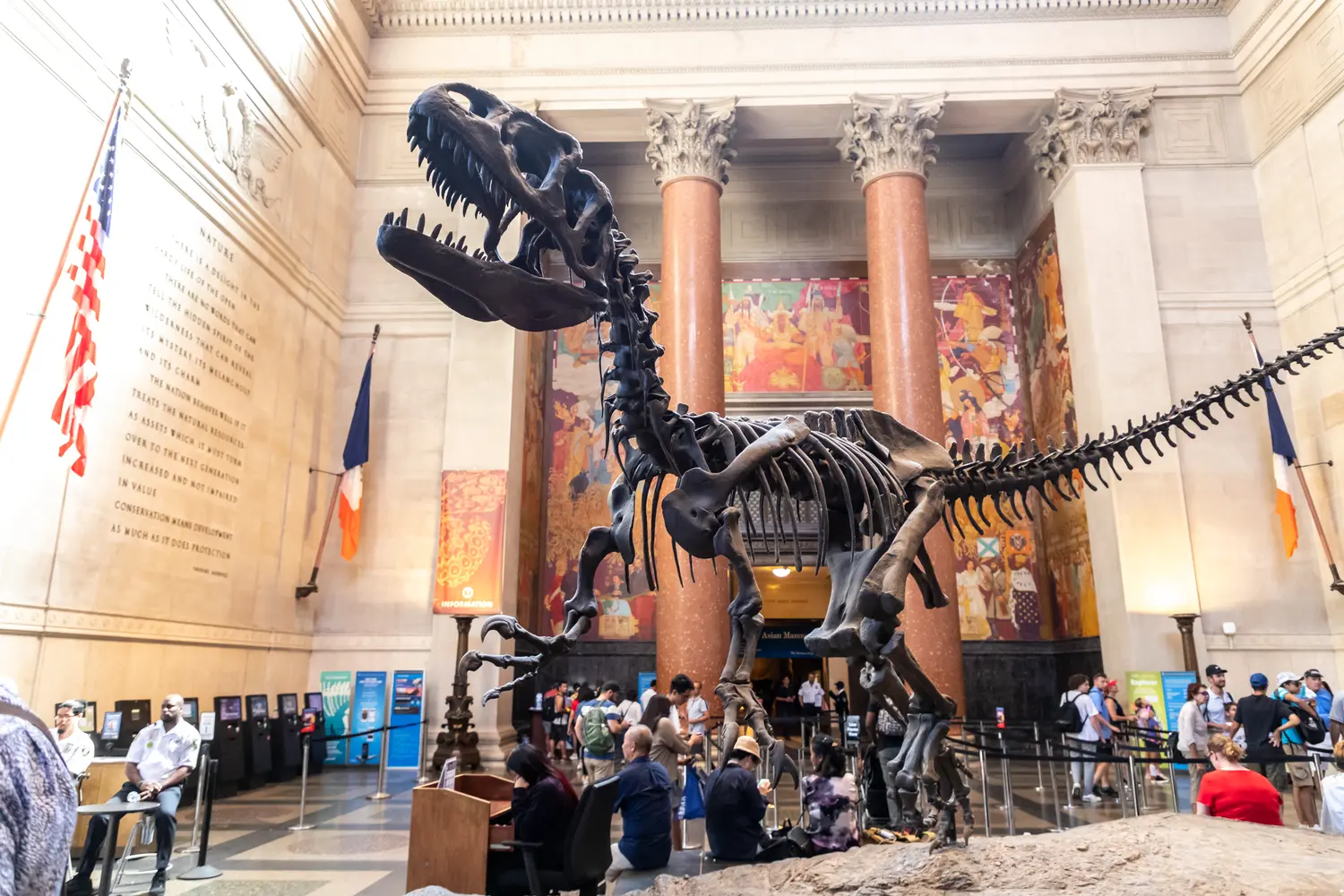 T-Rex at the American Museum of Natural History in New York City, NY, USA