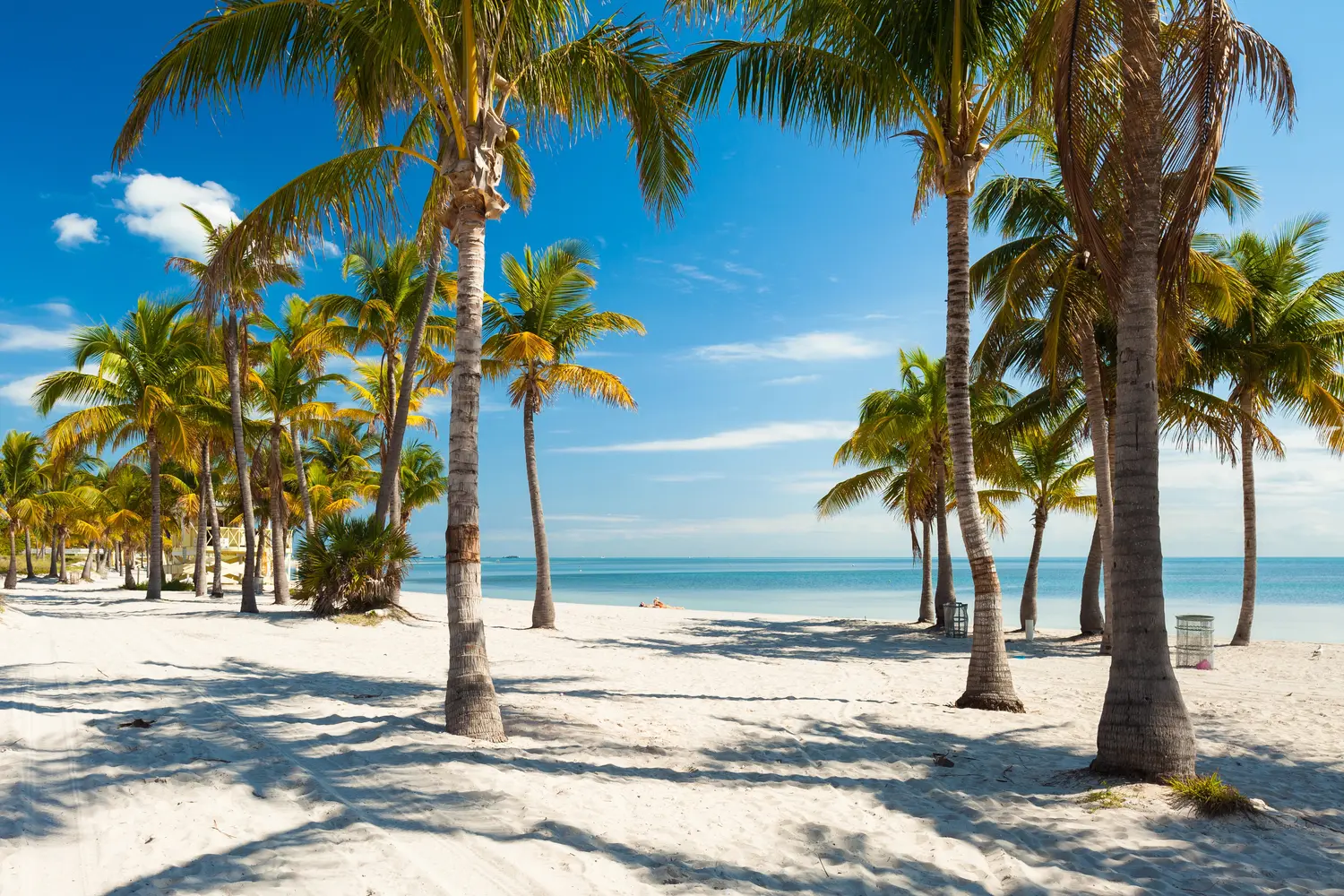 Crandon Park in Miami, Florida