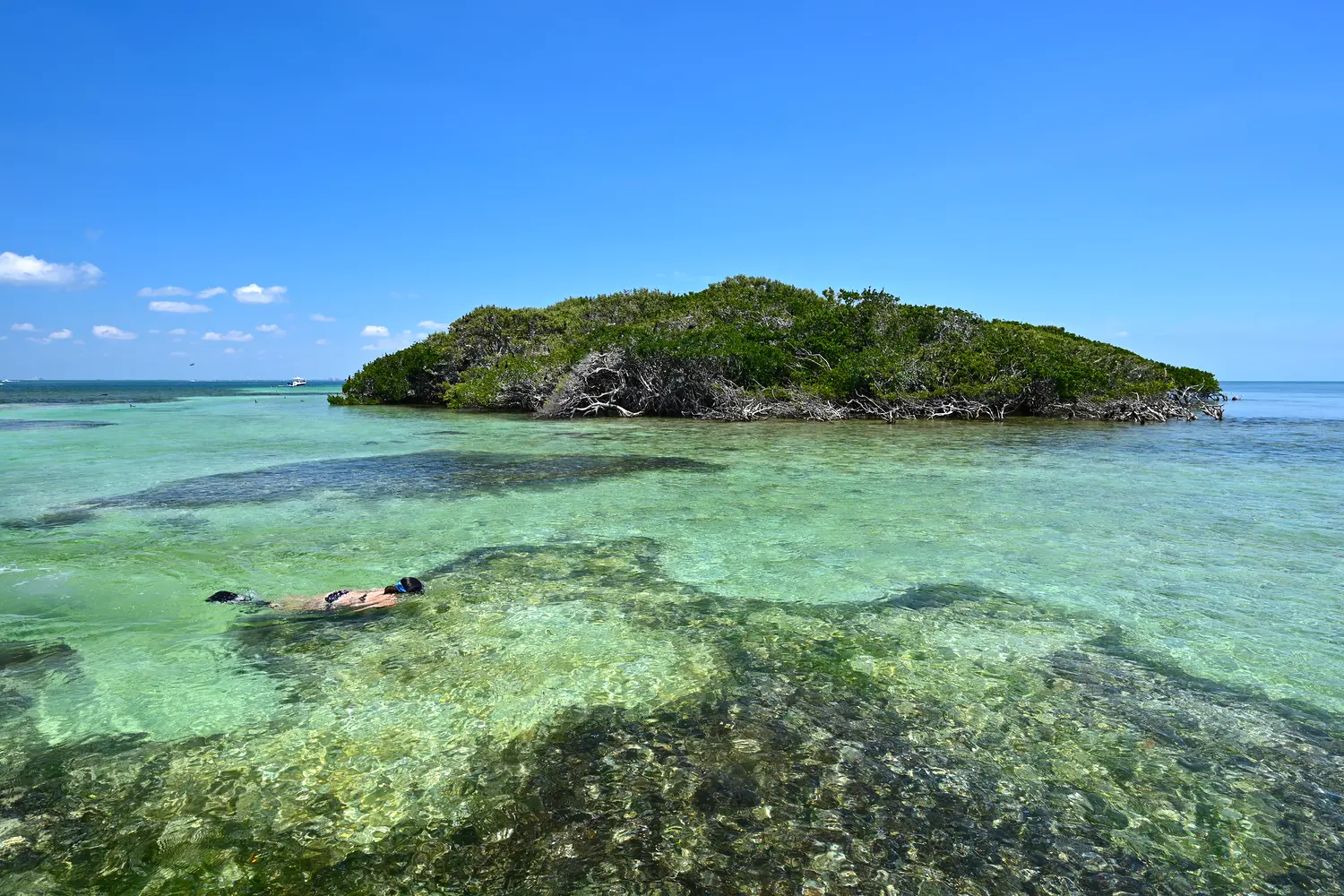 Soldier Key in Biscayne National Park off Miami, Florida.