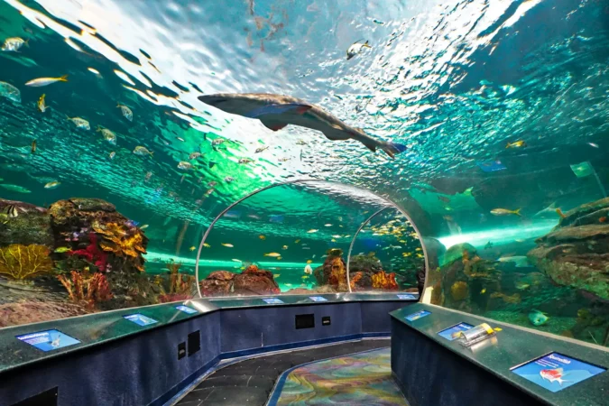 Ripleys Aquarium in Toronto, Canada