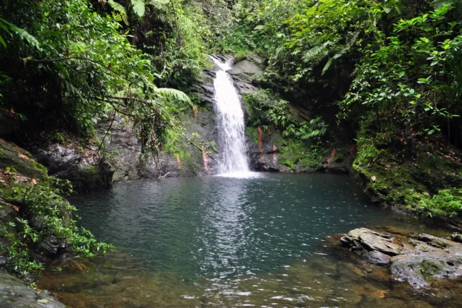 Water fall at the Cockscomb Forest Reserve, Belize.