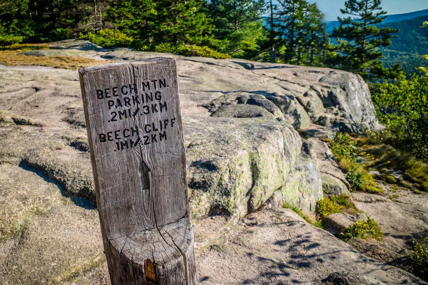 A description board for the trail in Acadia National Park, Maine