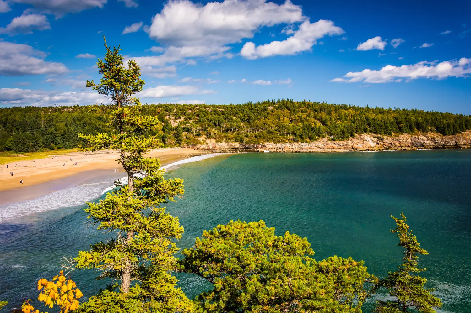 View of the Sand Beach at Acadia National Park, Maine.