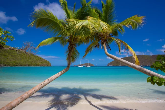 Palm trees on Maho Bay Beach on the Caribbean Island of St John in the US Virgin Islands