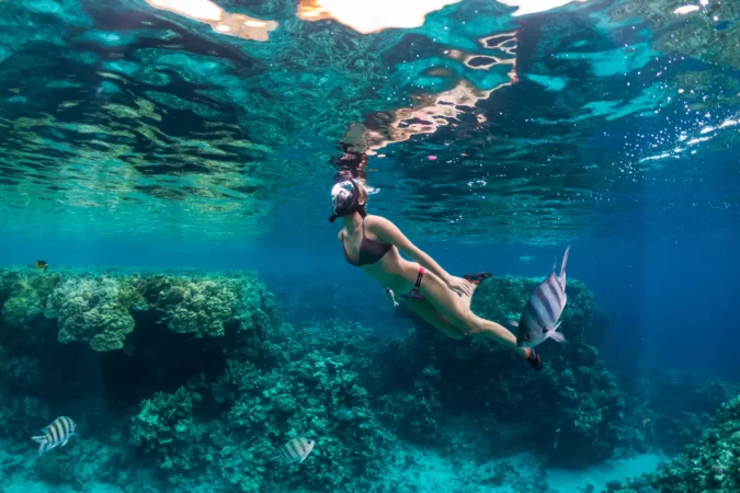 Young woman snorkeling at coral reef in tropical sea in St. Croix, USVI