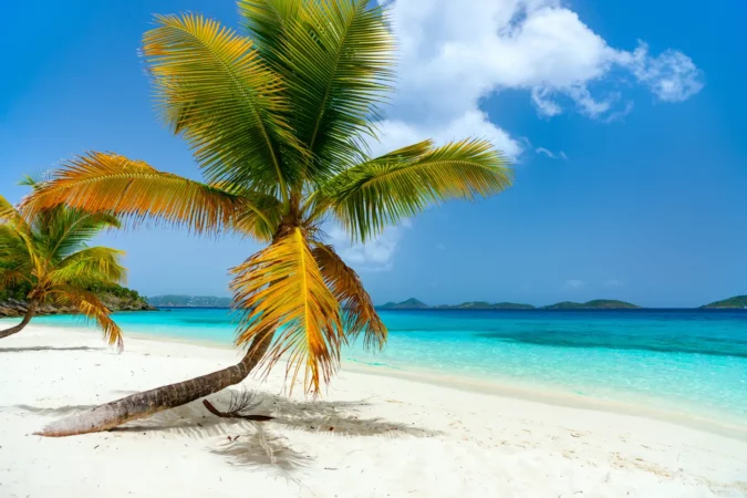 Beautiful tropical beach with palm trees, white sand, turquoise ocean water and blue sky on St John, US Virgin Islands in Caribbean