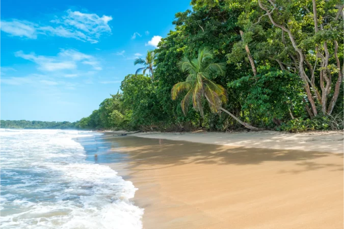 Cahuita National Park with beautiful beaches and rainforest at caribbean coast of Costa Rica