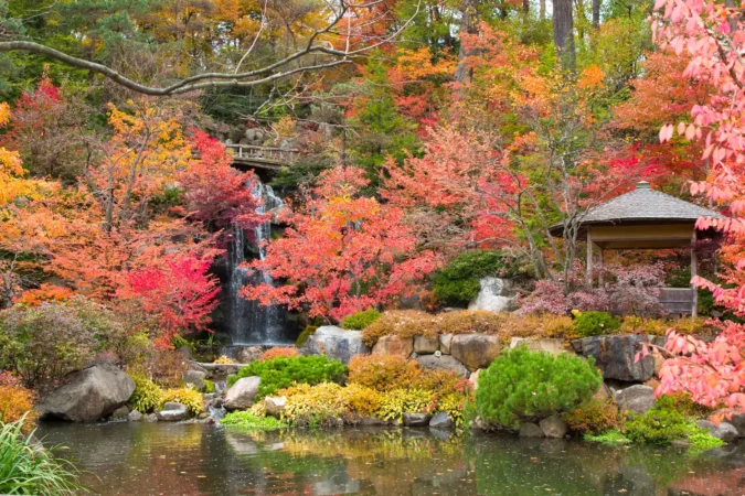Anderson Japanese Gardens in Rockford, Illinois