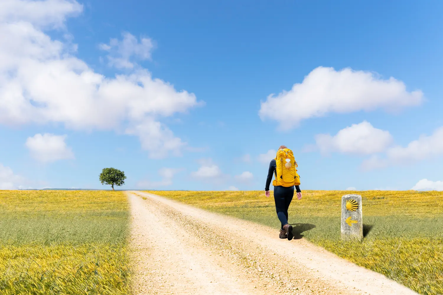 Camino de Santiago - A young pilgrim with a yellow backpack, walking alone in Saint James way, on a pilgrimage to Santiago de Compostela, Spain