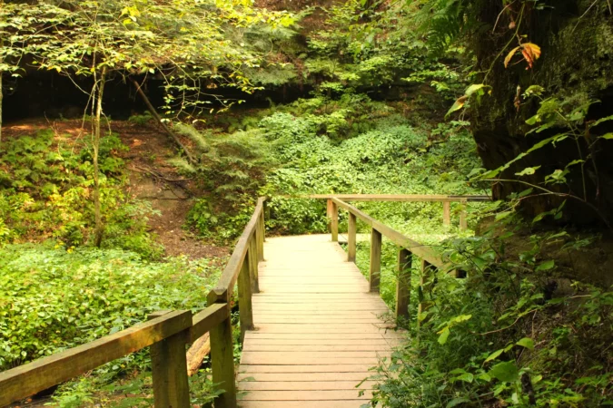 Turkey Run State Park, Indiana