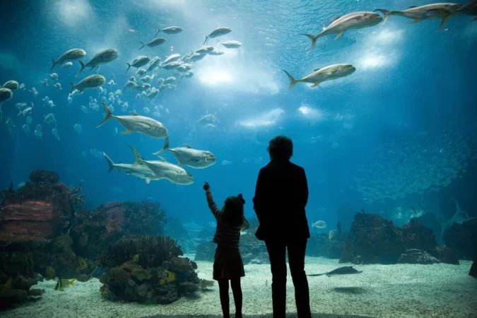 Mother and daughter admiring sea animals, Lisbon Oceanario, Portugal