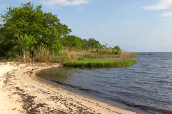Lake Pontchartrain as seen from Fontainebleau State Park in Louisiana.