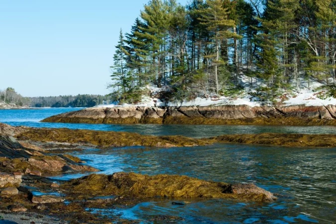 Wolfe's Neck State Park, Freeport, Maine, USA