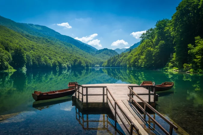 National park Biogradska gora in Montenegro