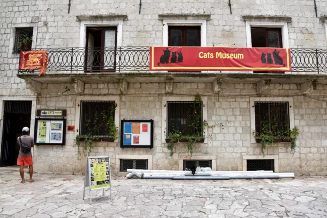 Cats Museum in Kotor, Montenegro