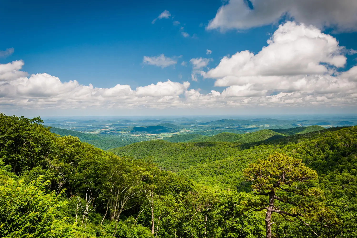 Overlook from Shenandoah National Park in Virginia, USA