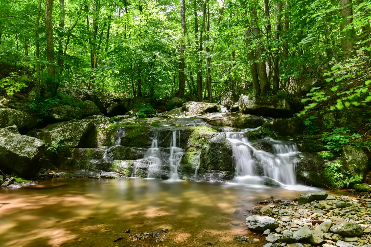 Waterfall at Shenandoah National Park in Virginia, USA