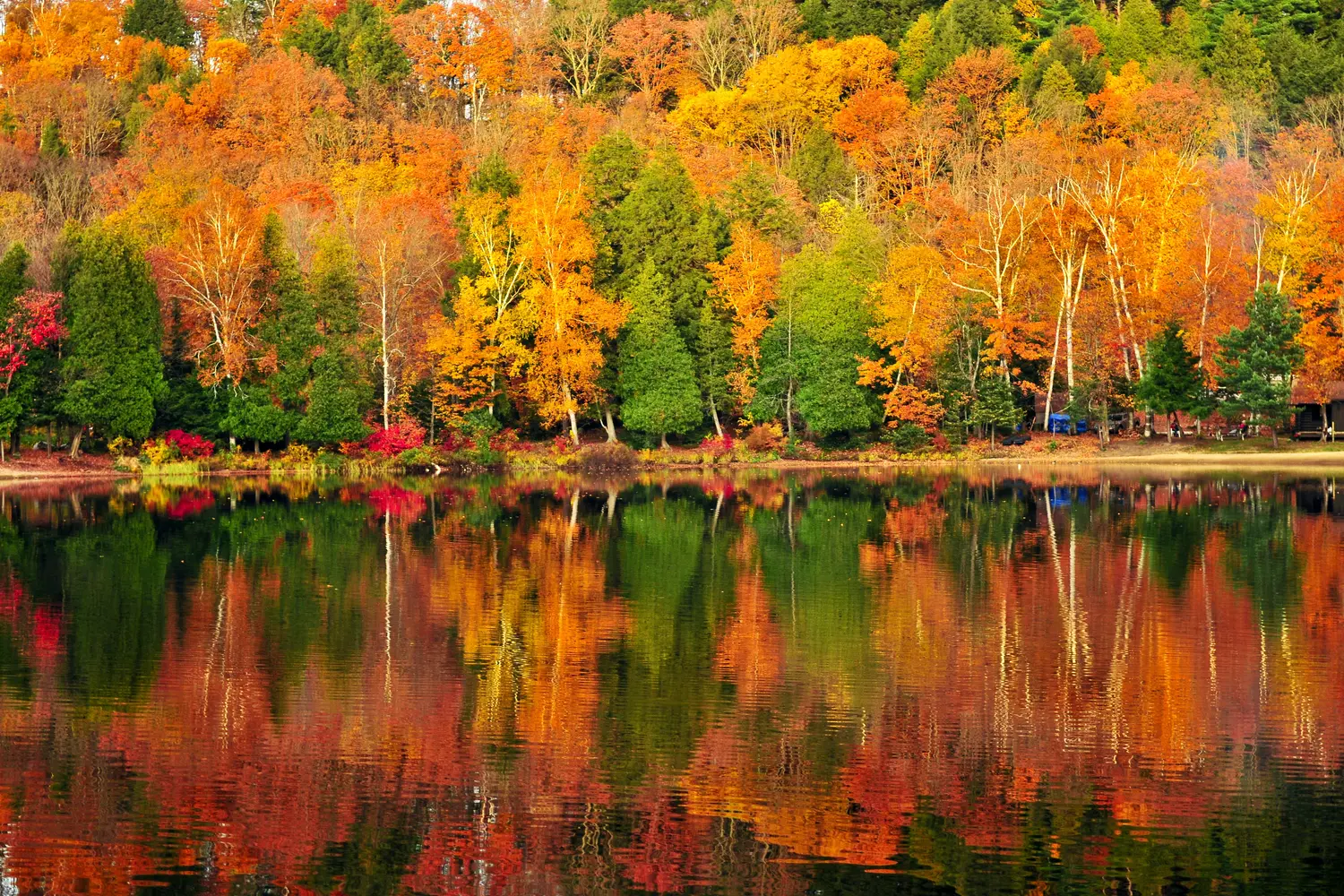 Fall foliage at Algonquin Provincial Park in Canada