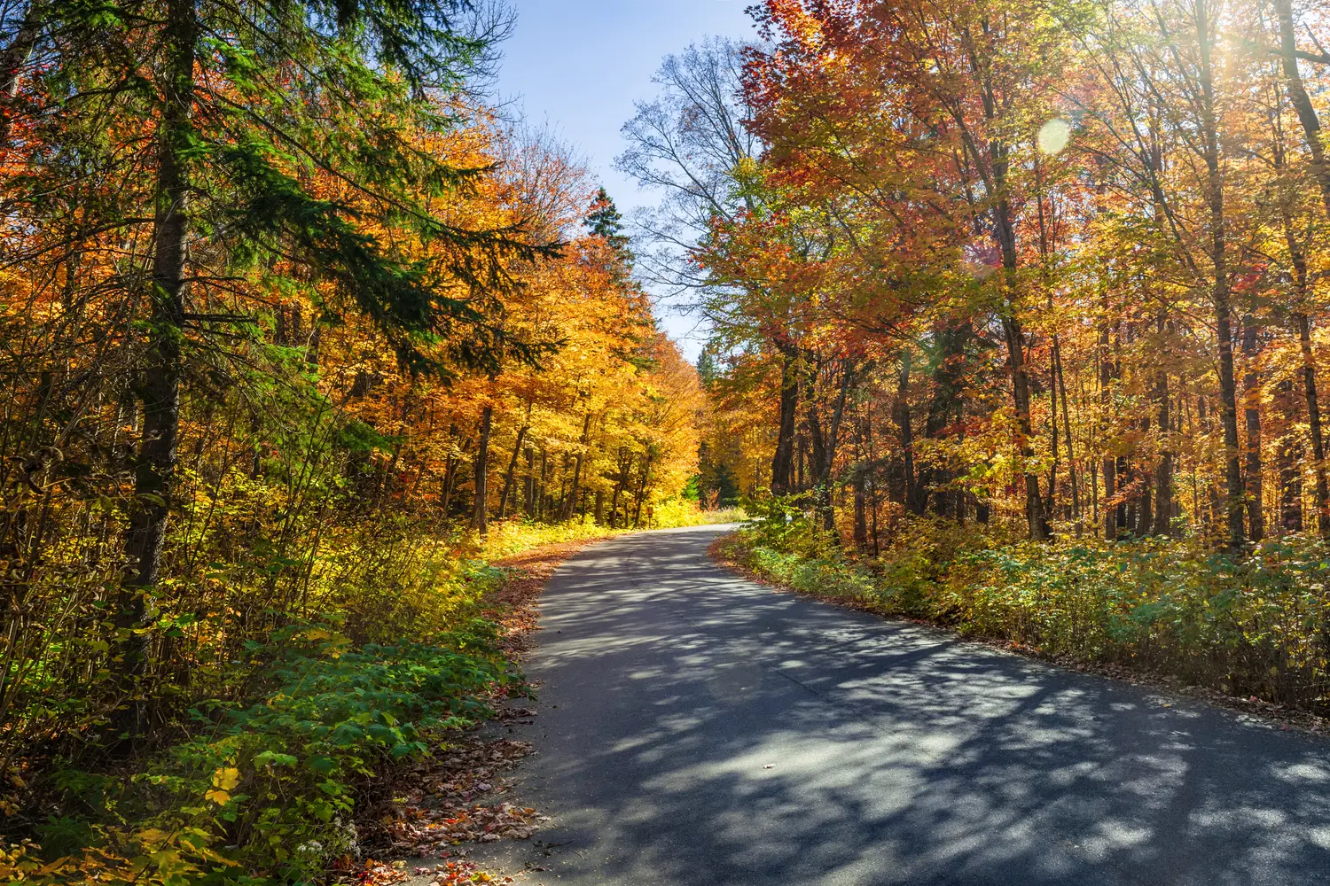 Road in Algonquin Provincial Park in Canada