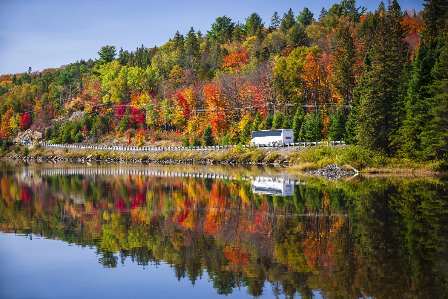 Bus driving on Highway 60 Corridor at Algonquin Provincial Park in Canada