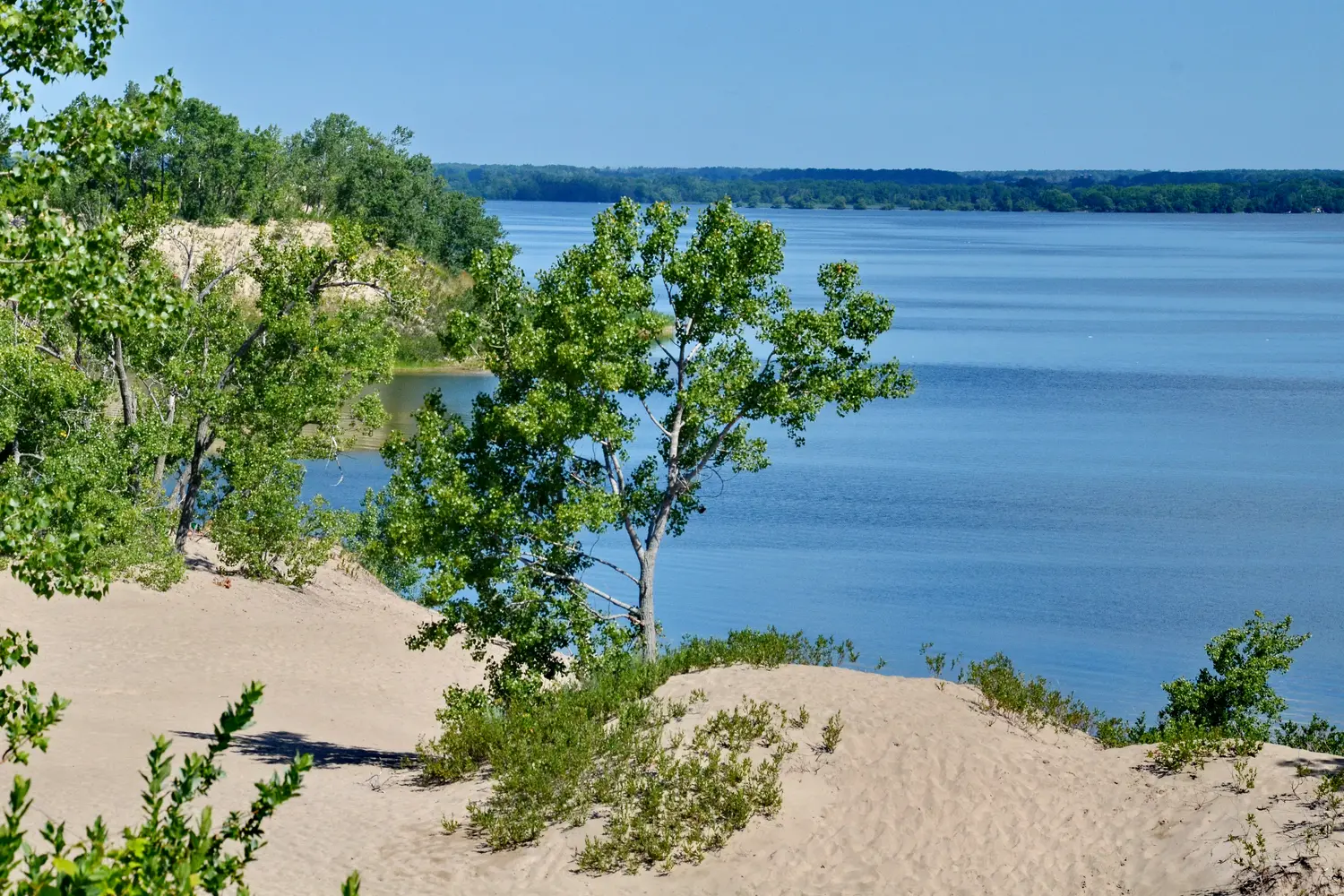 Dunes at Sandbanks Provincial Park in Ontario, Canada
