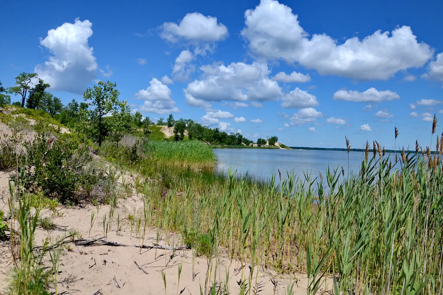 Dunes at Sandbanks Provincial Park in Ontario, Canada