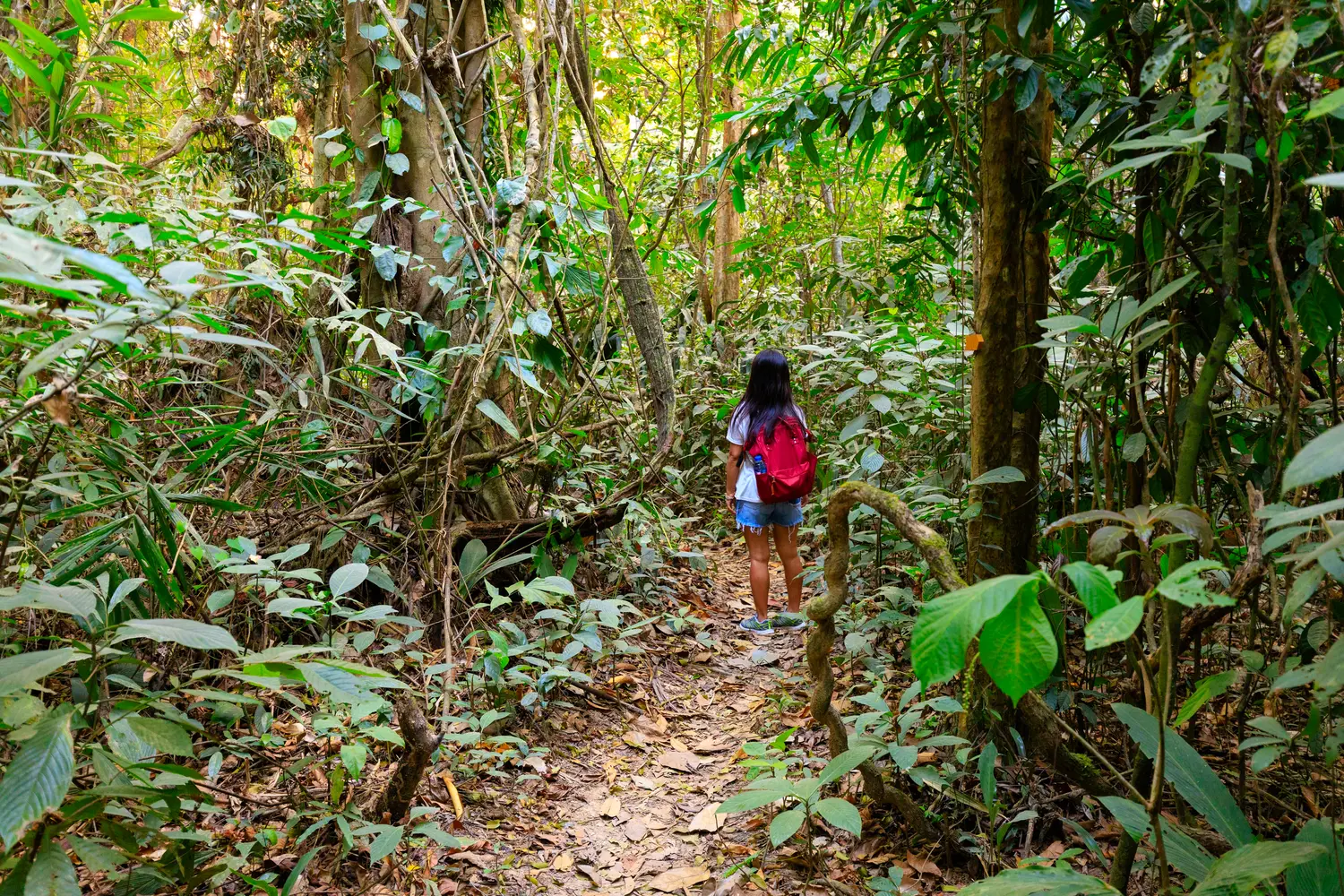 Woman hiking in Thailand