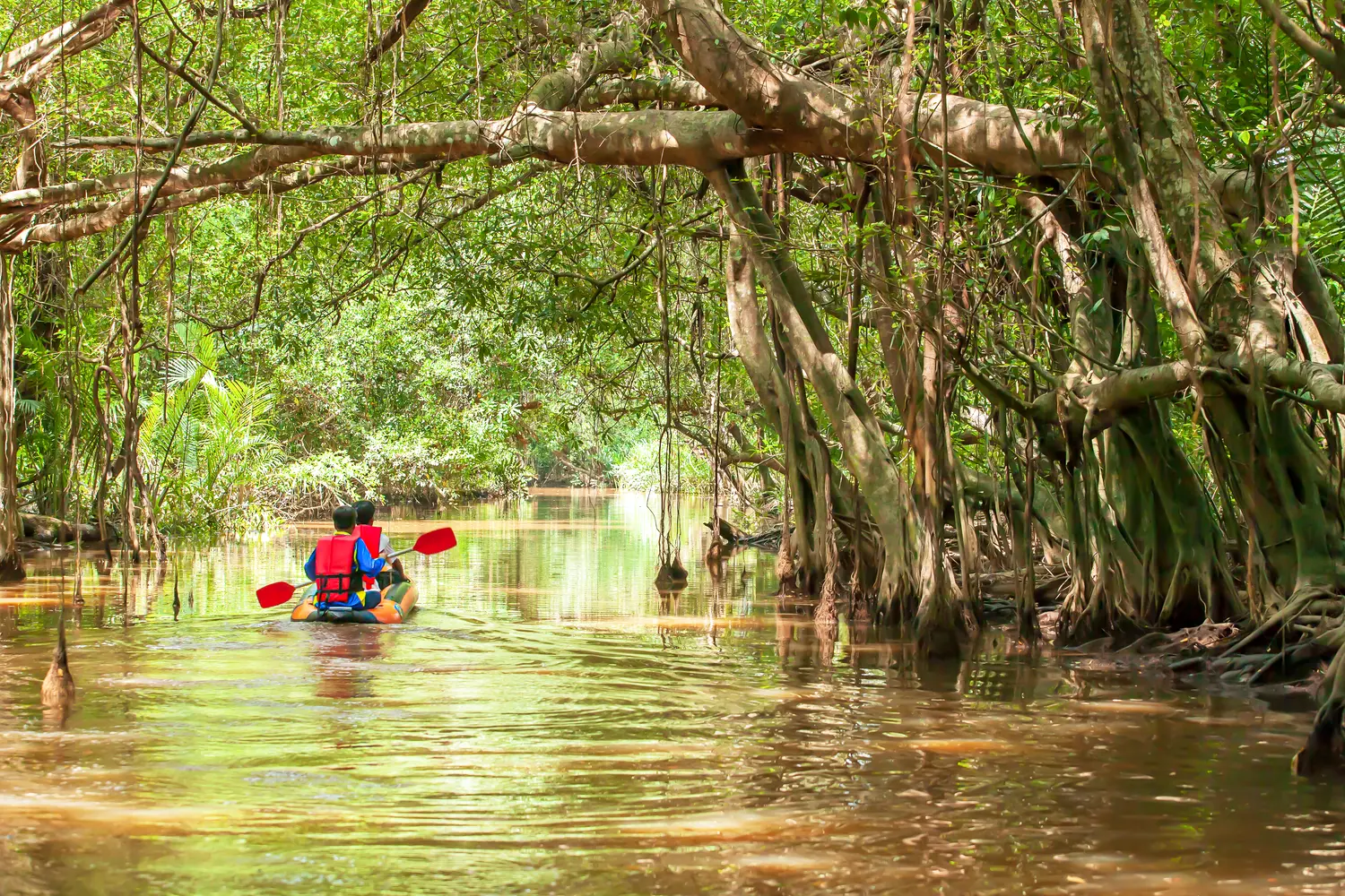 Canoeing the Little Amazon in Khao Lak, Thailand