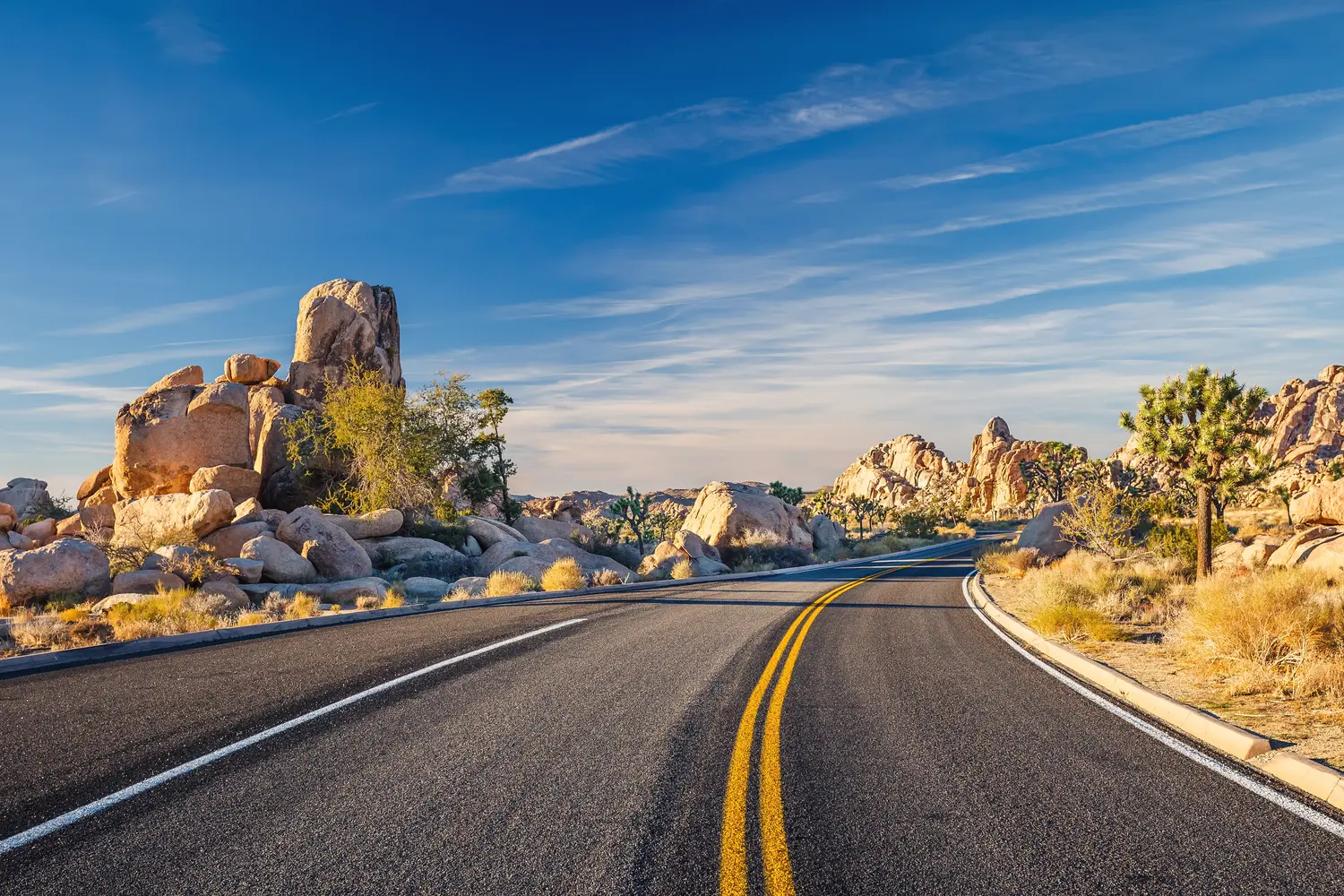 Road going through Joshua Tree National Park in California, USA