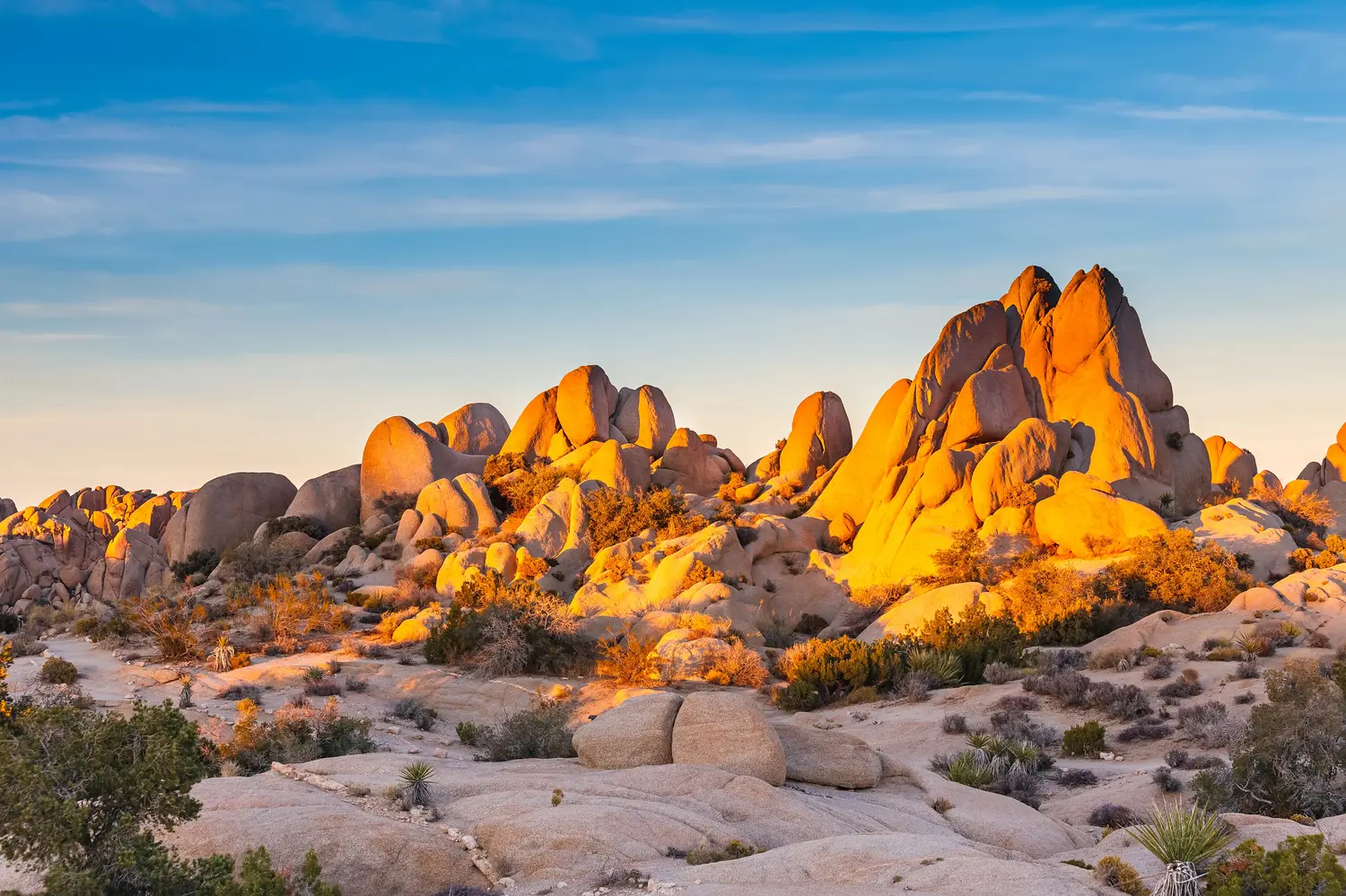 Joshua Tree National Park in California, USA