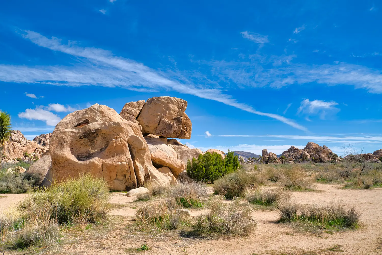 Joshua Tree National Park in California, USA