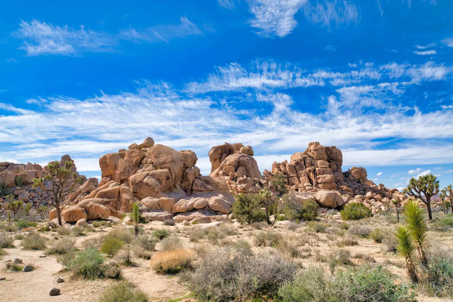 Joshua Tree National Park in California, USA