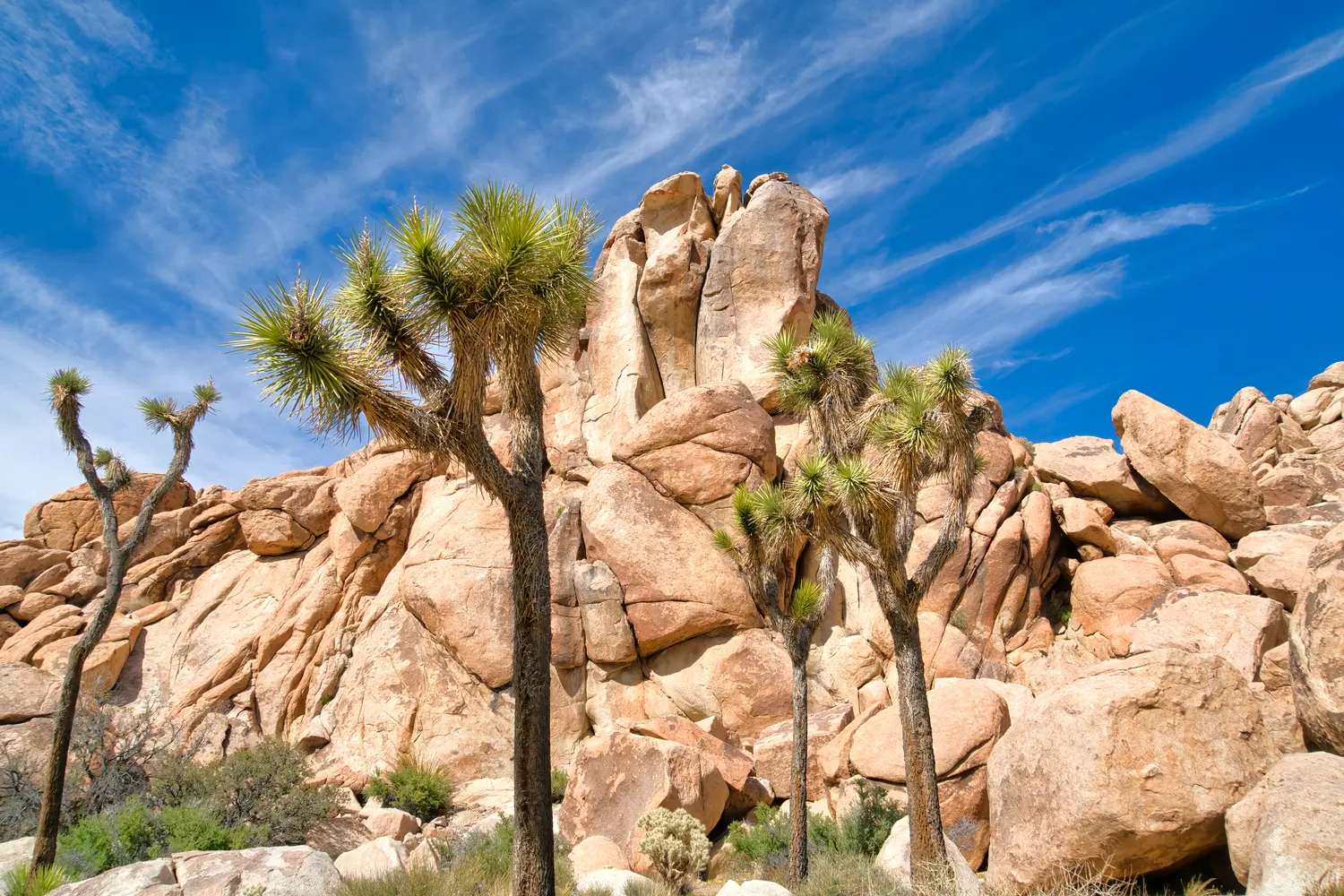 Joshua Tree National Park in California, USA