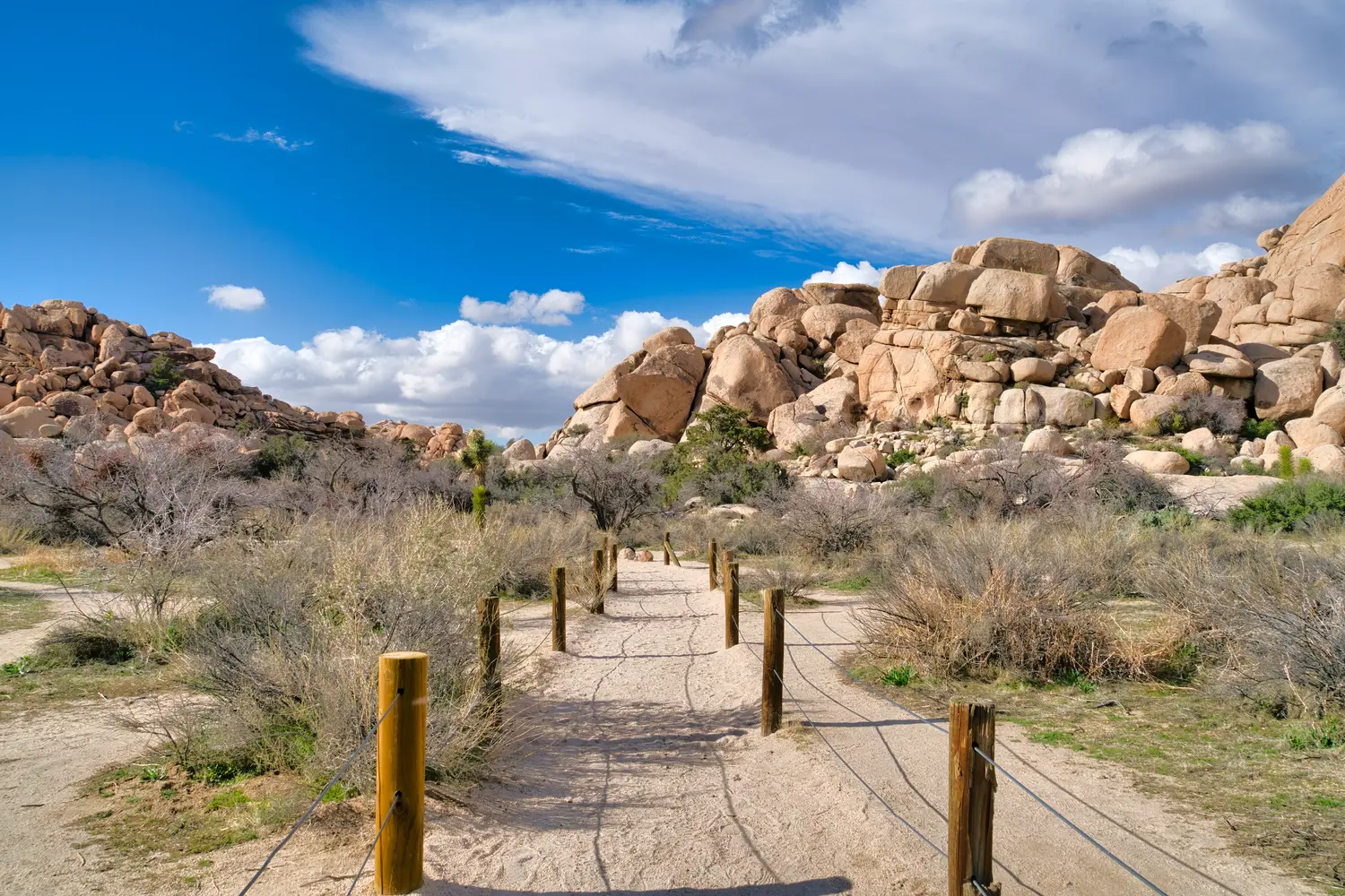 Trail at Joshua Tree National Park in California, USA