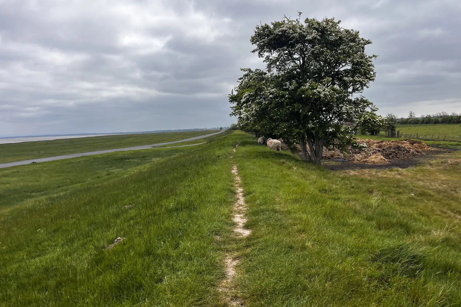 Hadrian's Wall Path in England, UK